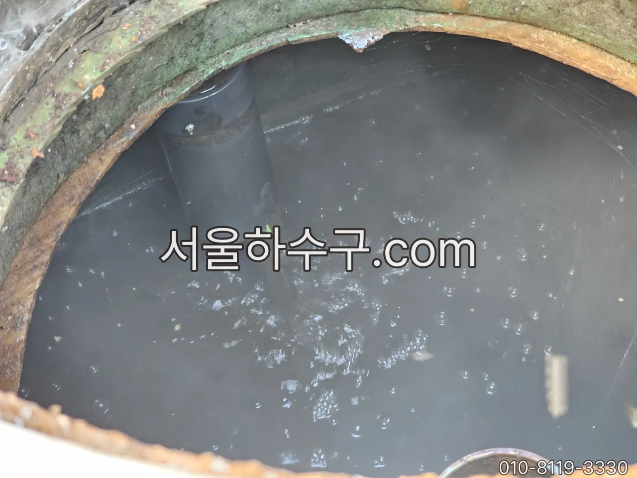 정화조 내부 수면 — 만수인지 정상 수위인지로 유입관·배출관 어느 쪽인지 가릅니다
