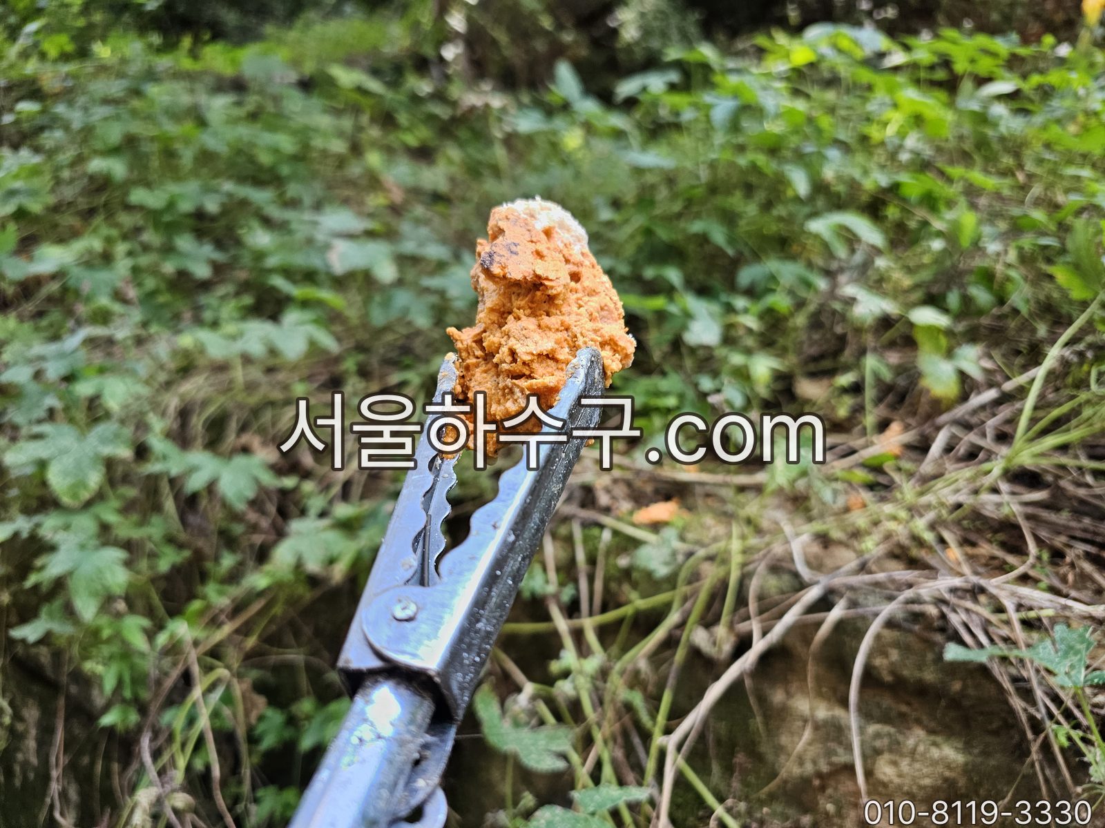 배관에서 꺼낸 막힘 원인물